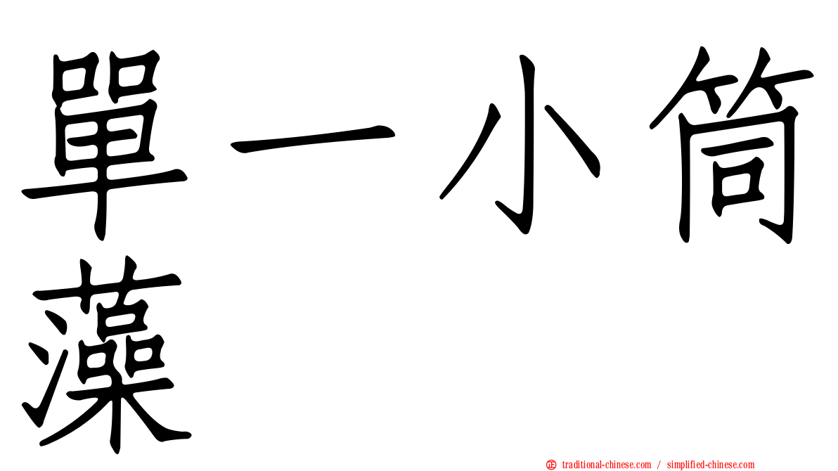 單一小筒藻