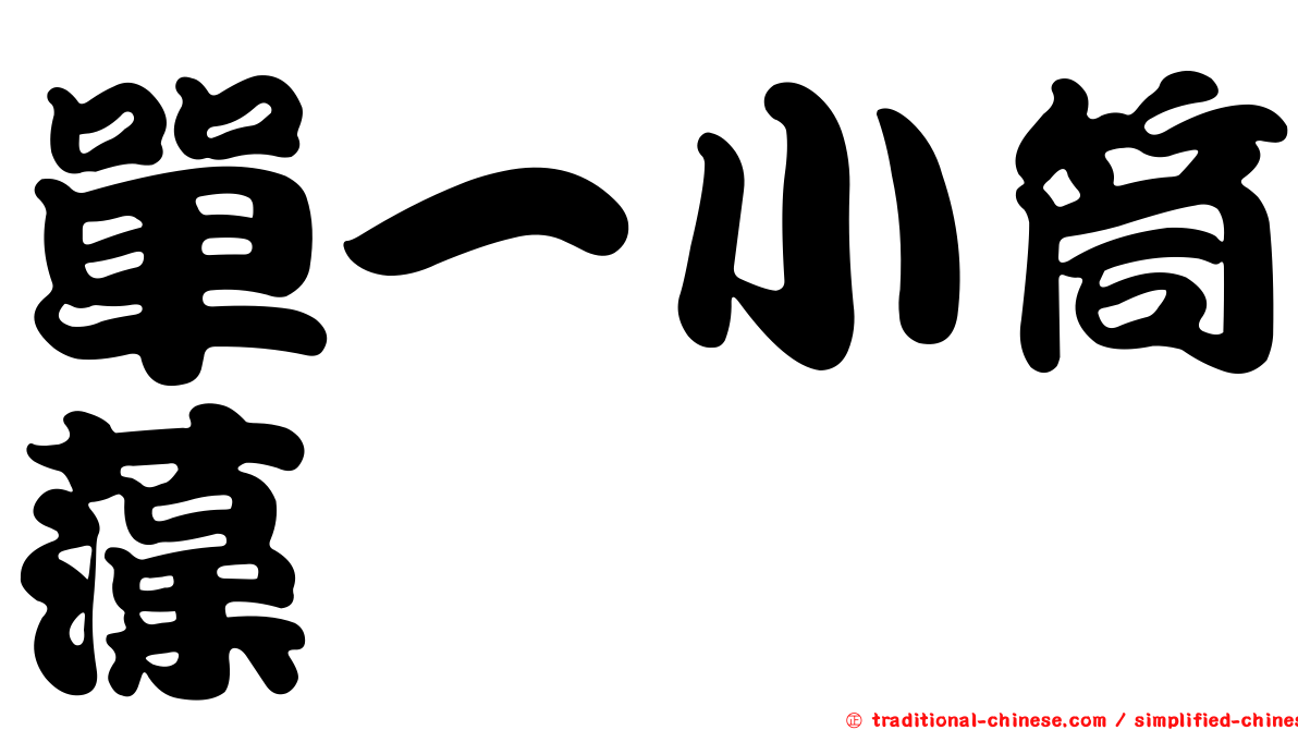 單一小筒藻