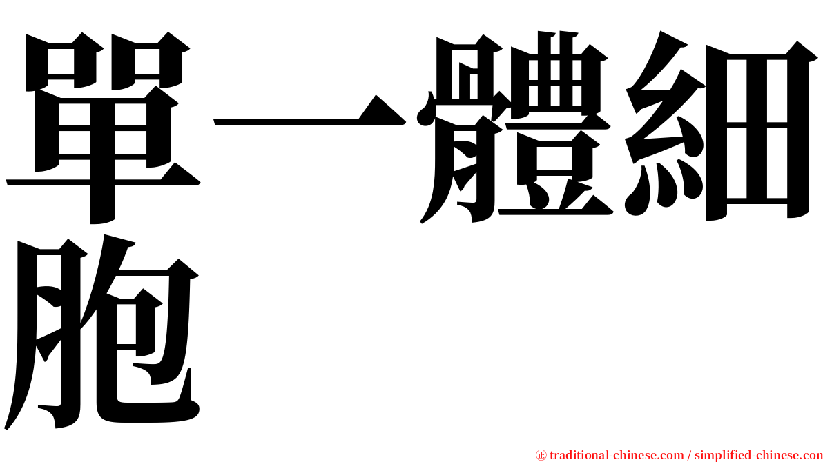 單一體細胞 serif font