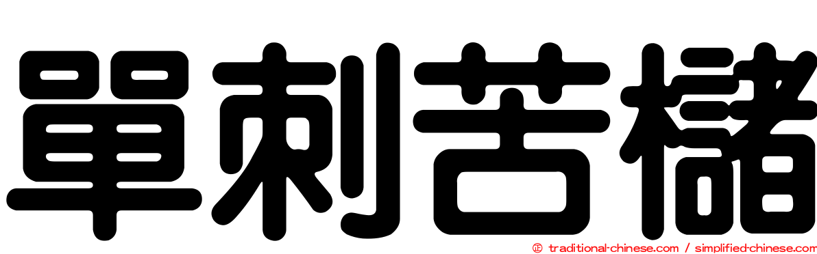 單刺苦櫧