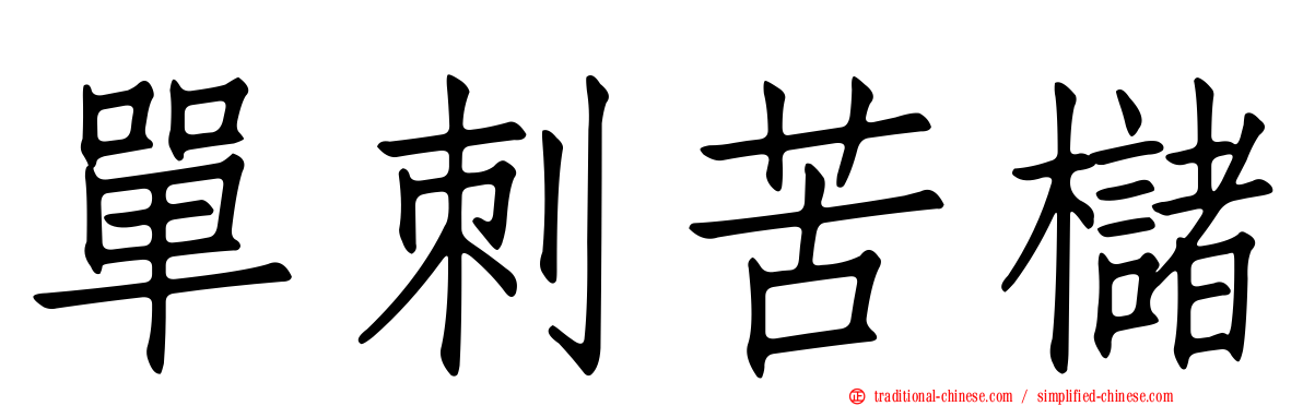 單刺苦櫧