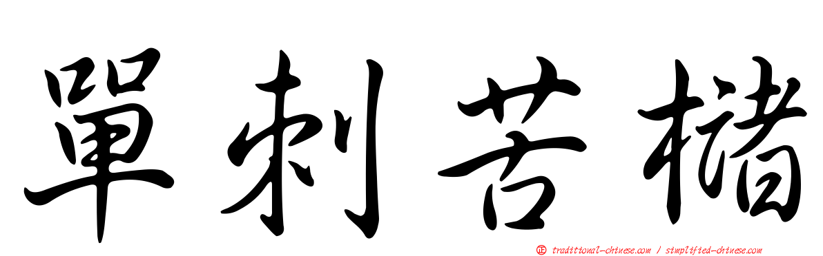 單刺苦櫧