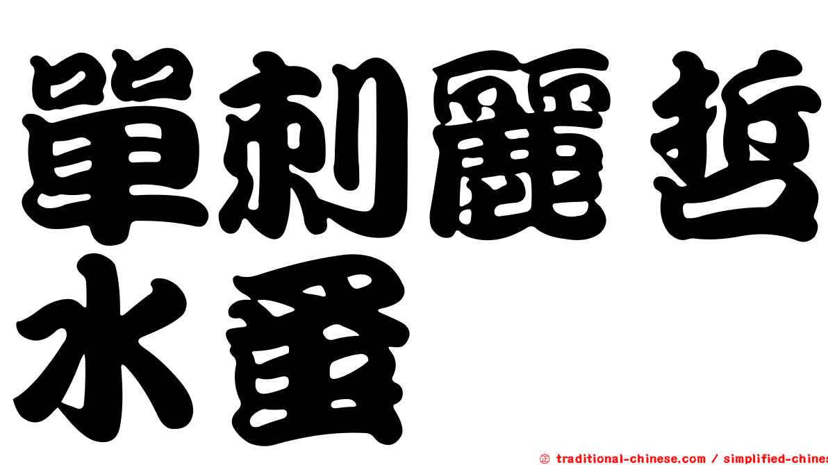 單刺麗哲水蚤