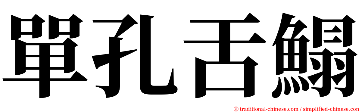 單孔舌鰨 serif font