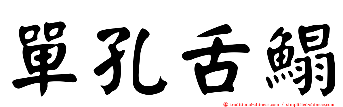 單孔舌鰨