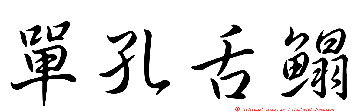 單孔舌鰨