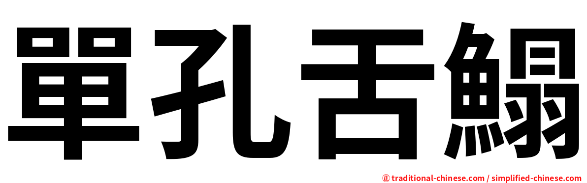 單孔舌鰨