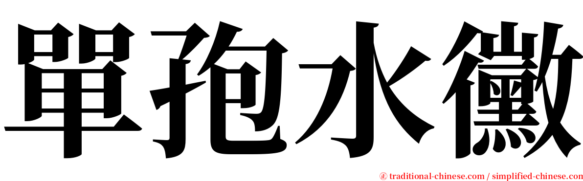 單孢水黴 serif font
