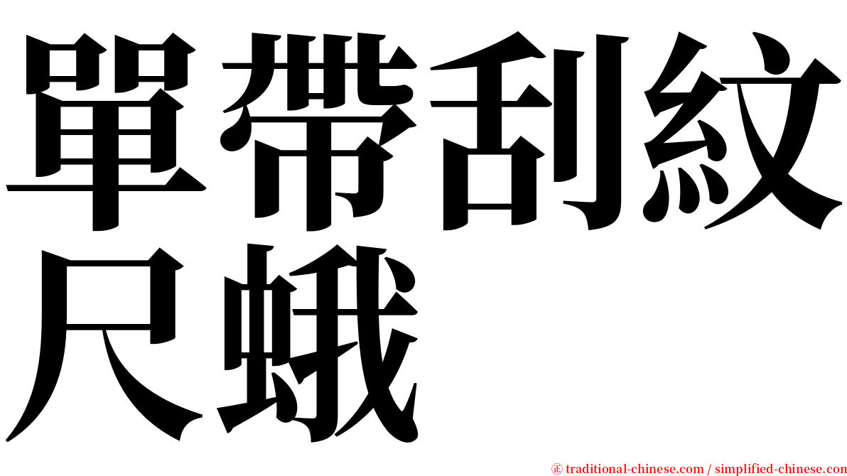 單帶刮紋尺蛾 serif font