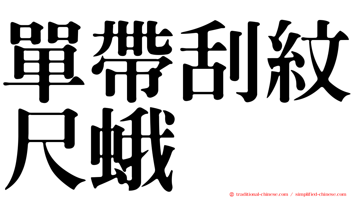 單帶刮紋尺蛾