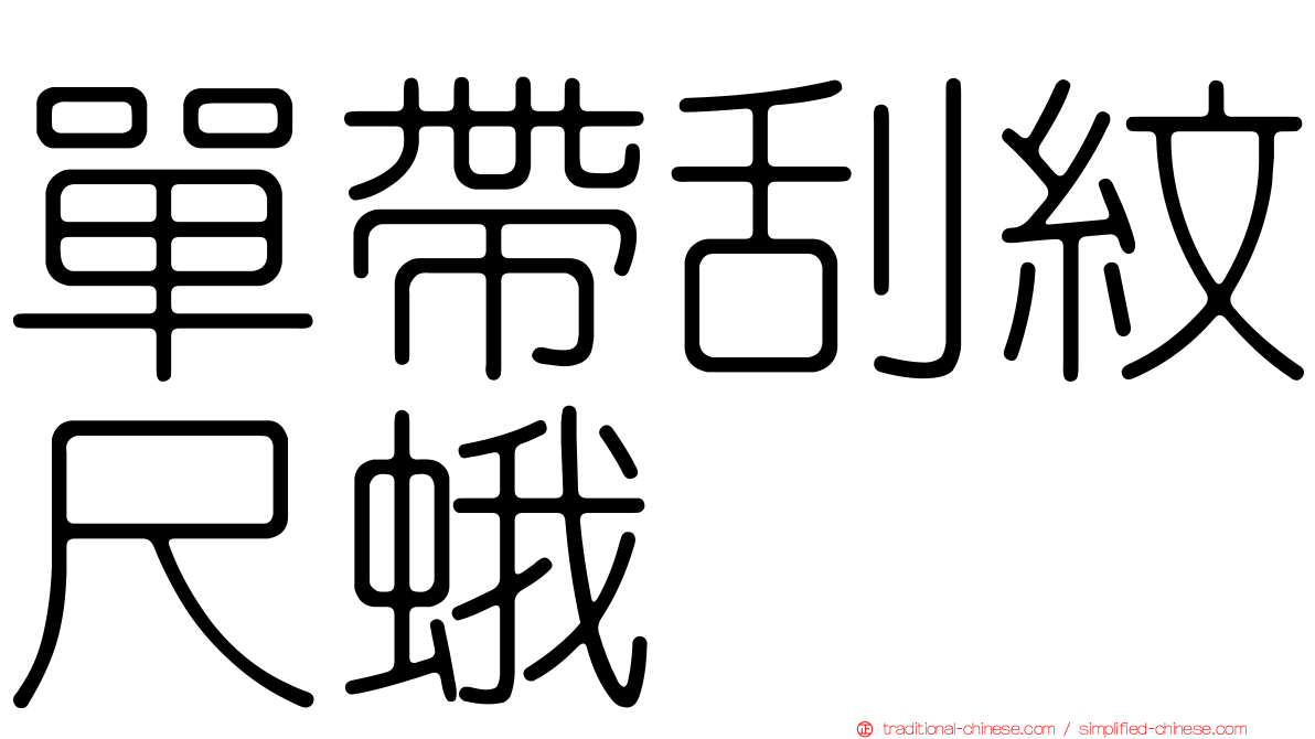 單帶刮紋尺蛾