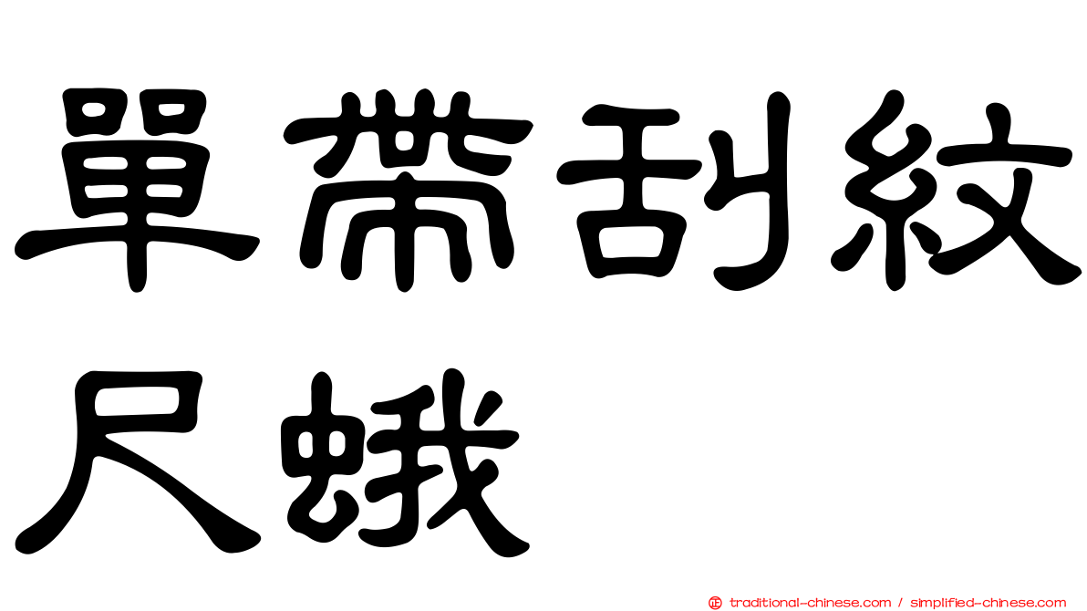 單帶刮紋尺蛾