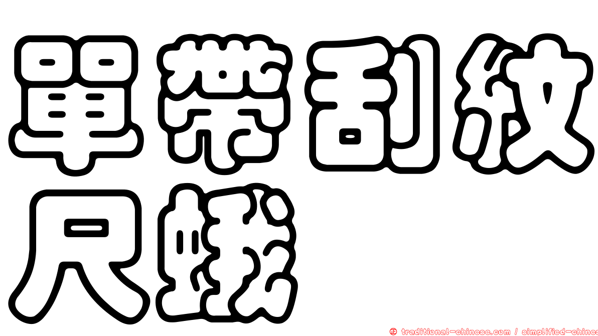 單帶刮紋尺蛾