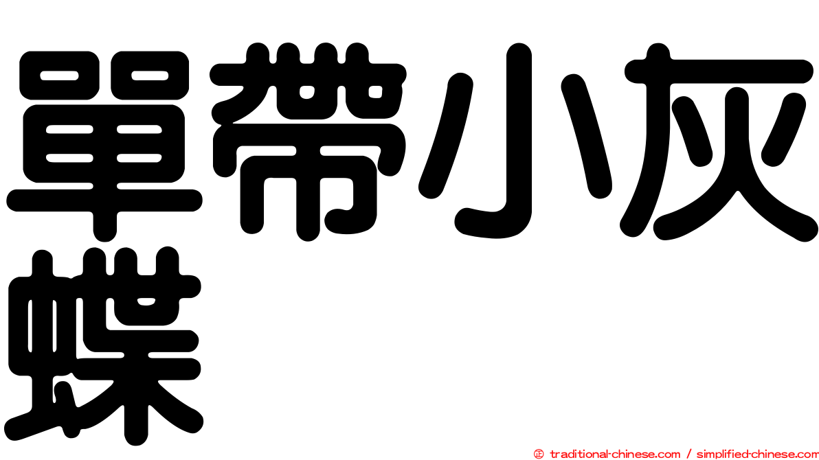 單帶小灰蝶
