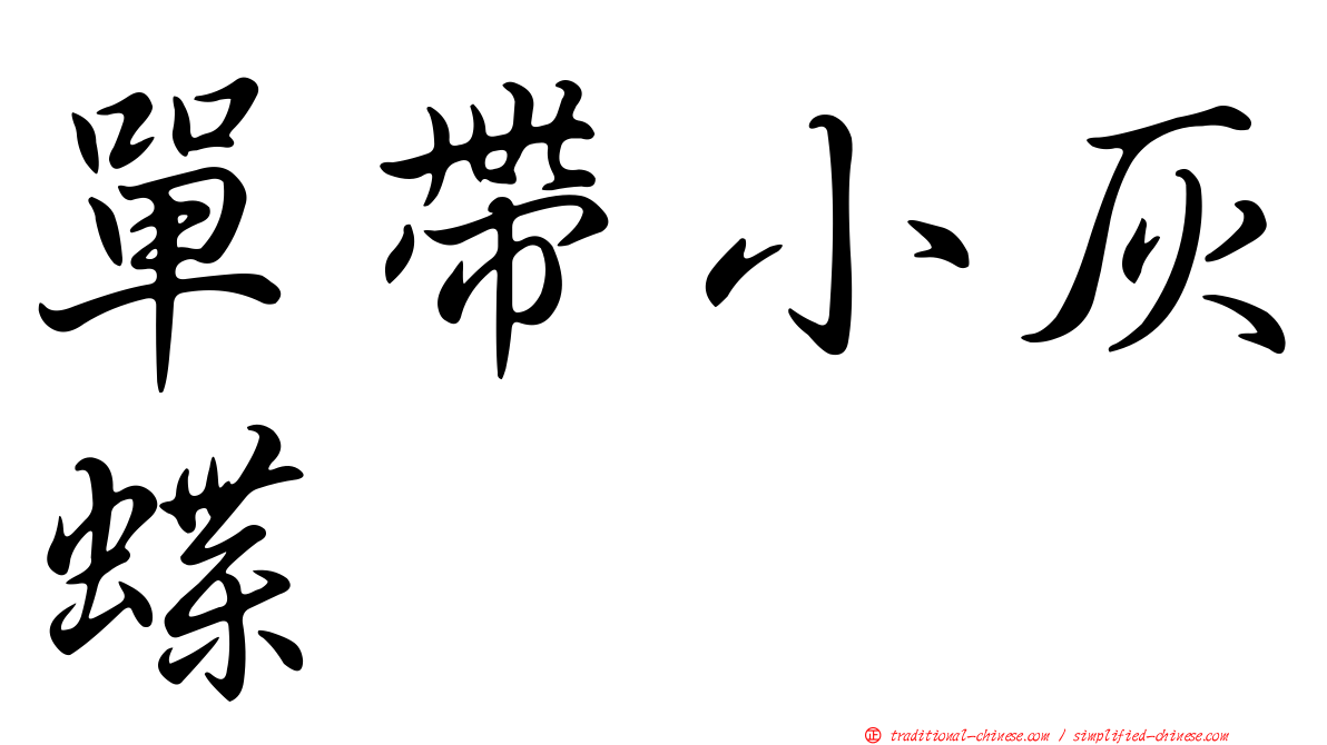 單帶小灰蝶