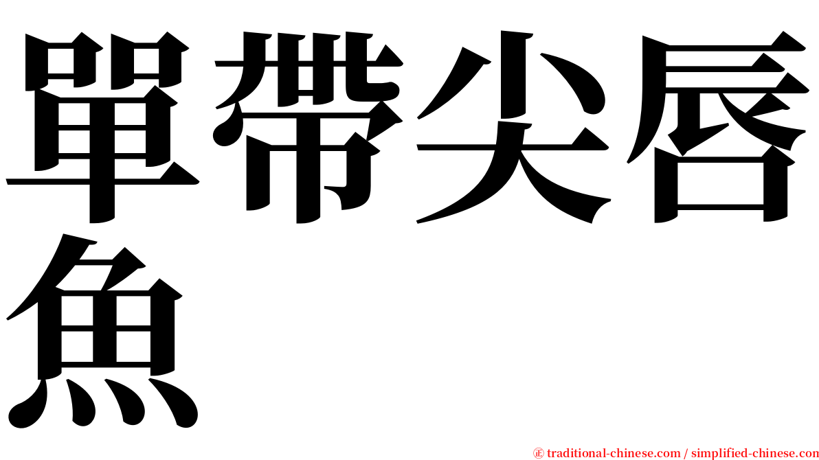 單帶尖唇魚 serif font