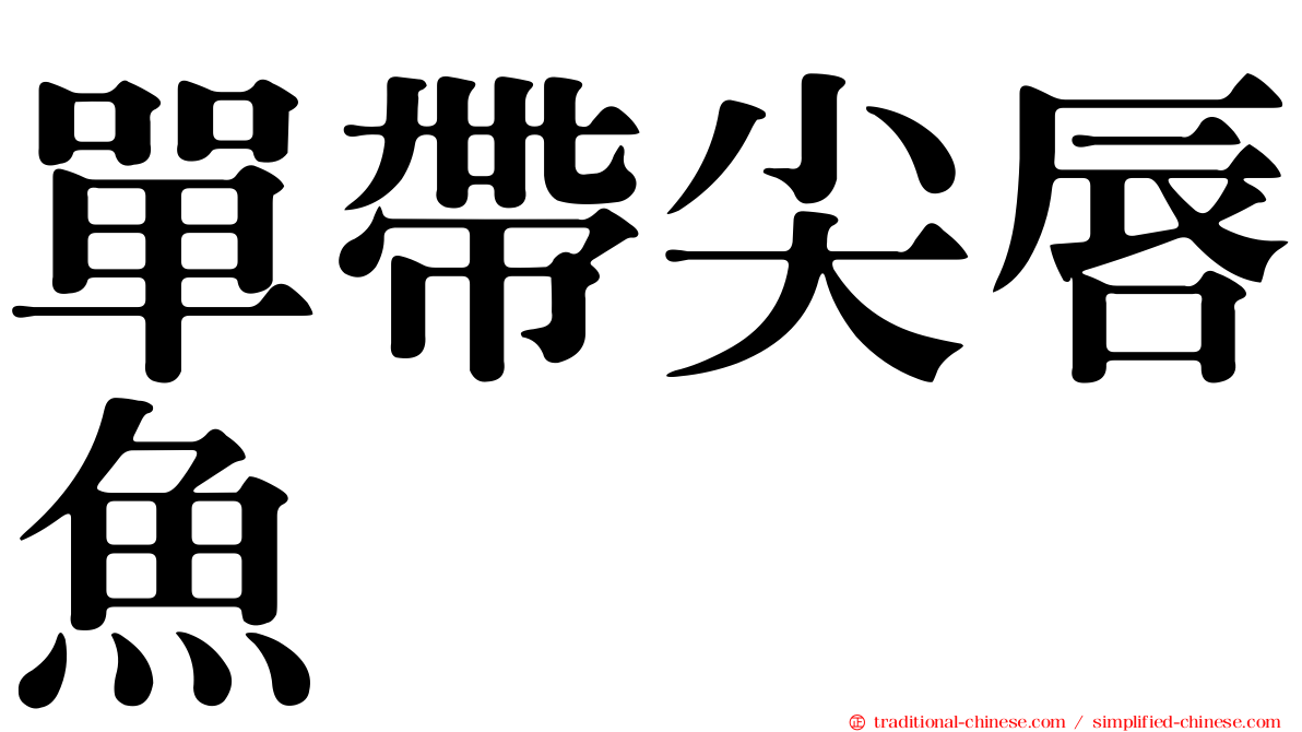 單帶尖唇魚