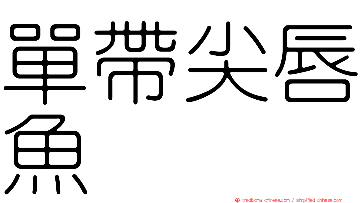 單帶尖唇魚