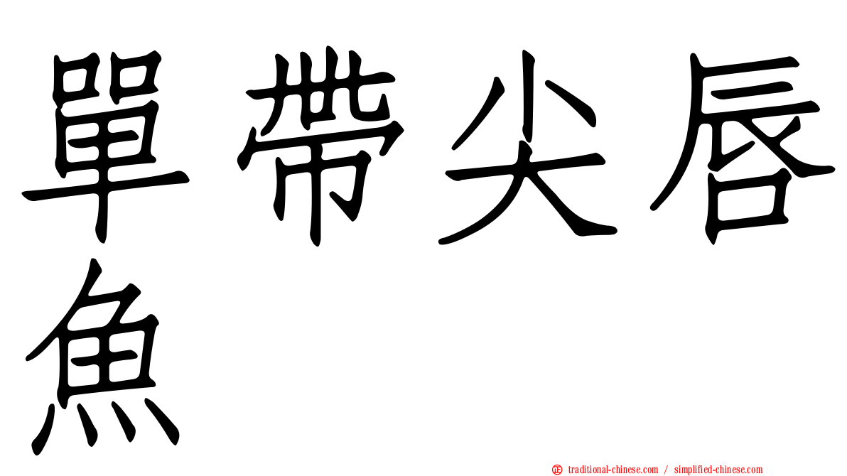 單帶尖唇魚