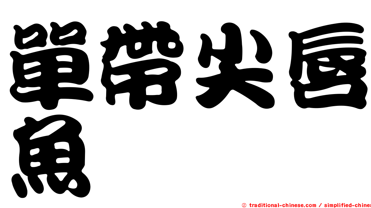 單帶尖唇魚