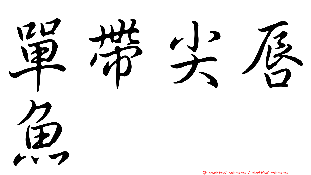 單帶尖唇魚
