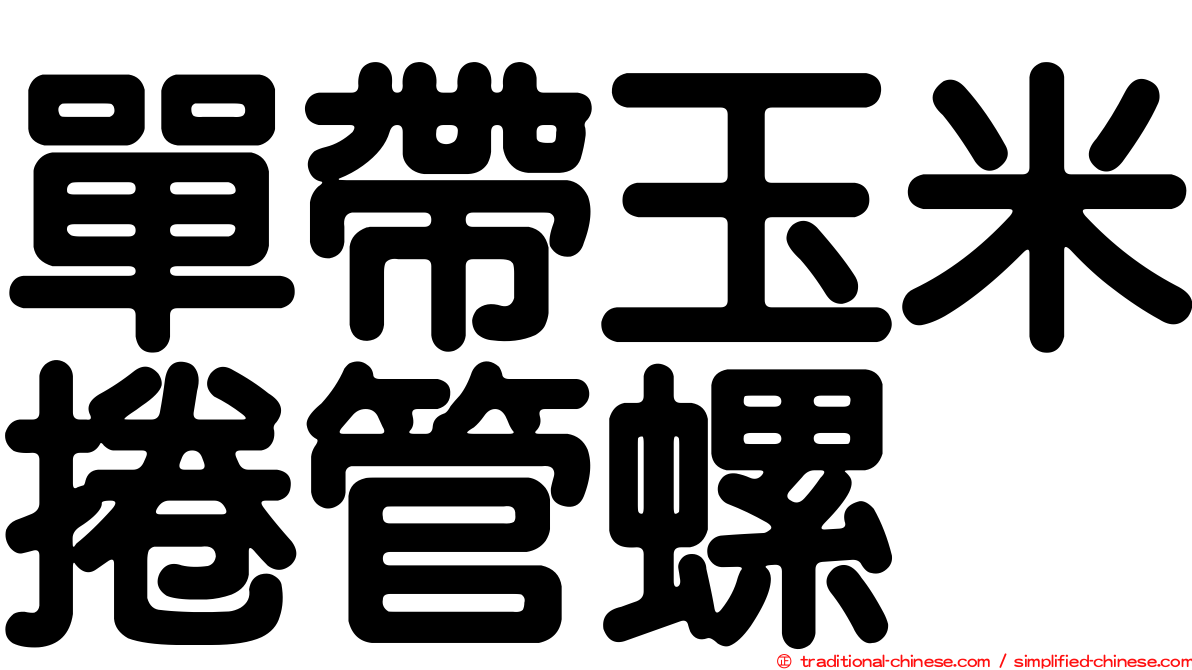 單帶玉米捲管螺