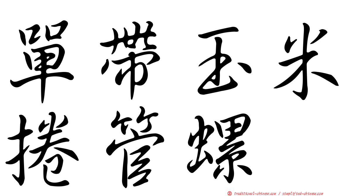 單帶玉米捲管螺