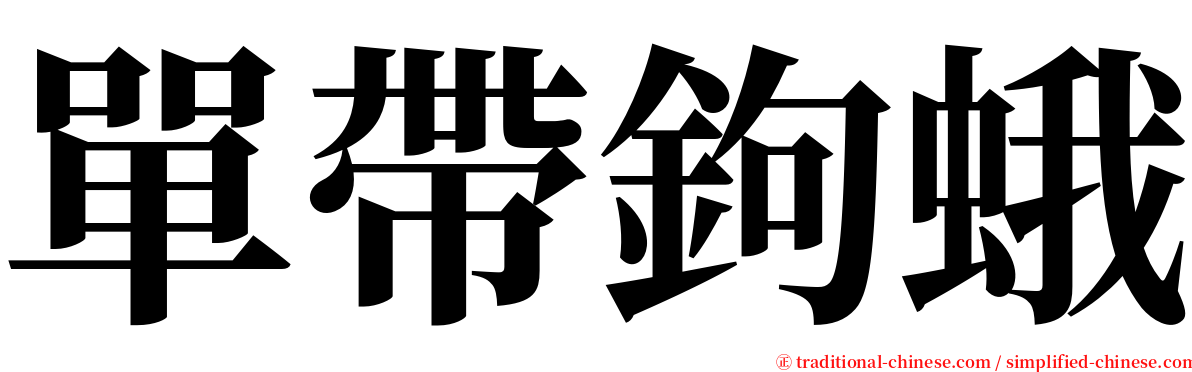 單帶鉤蛾 serif font