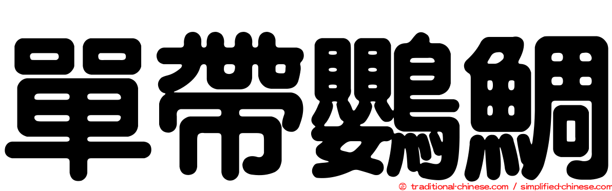 單帶鸚鯛