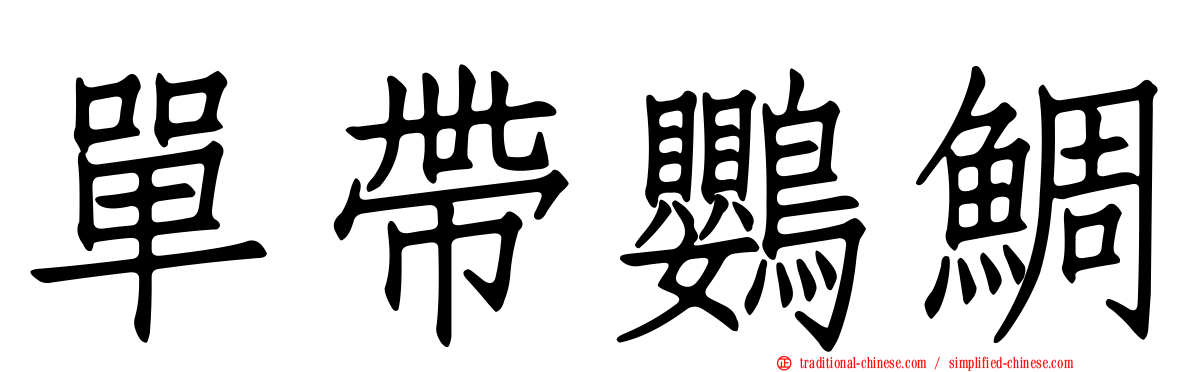 單帶鸚鯛