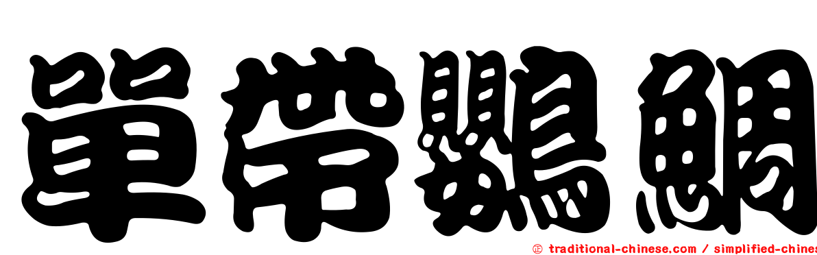 單帶鸚鯛