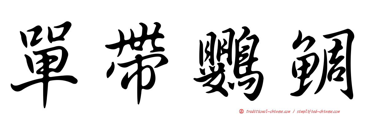 單帶鸚鯛