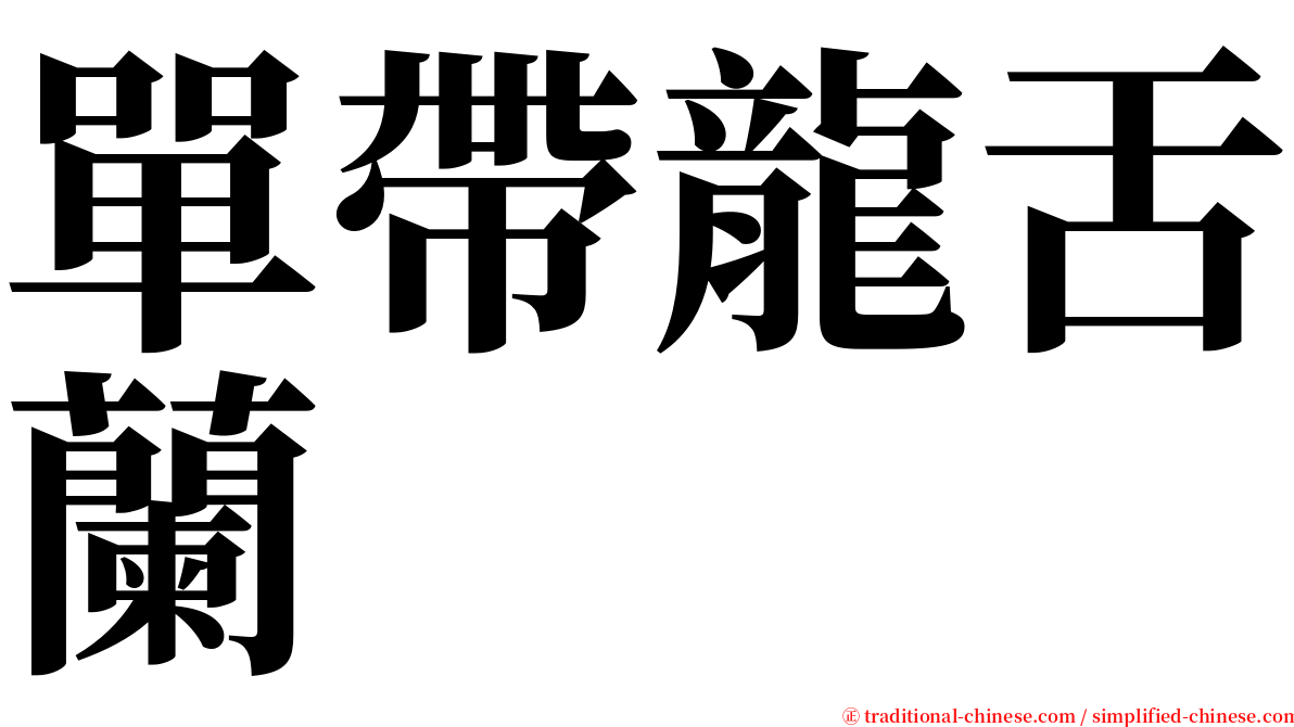 單帶龍舌蘭 serif font