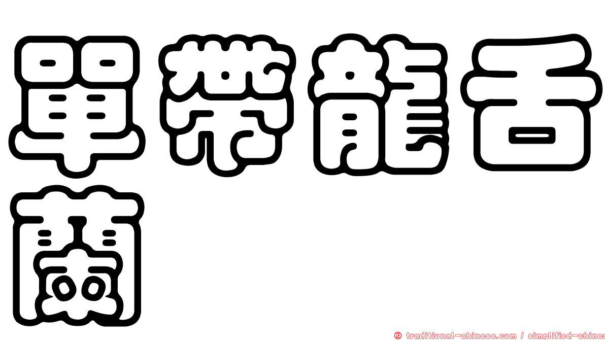 單帶龍舌蘭
