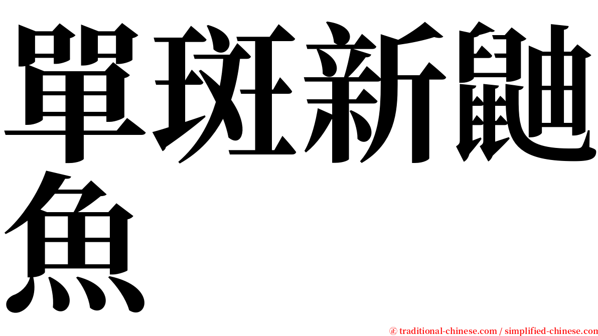 單斑新鼬魚 serif font