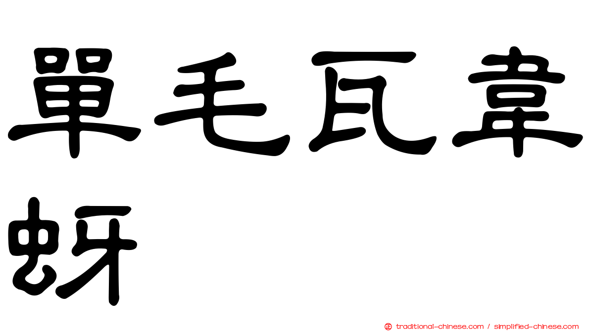 單毛瓦韋蚜
