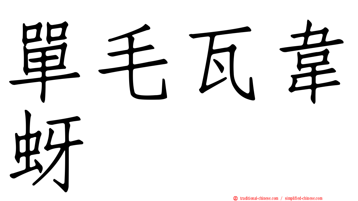 單毛瓦韋蚜