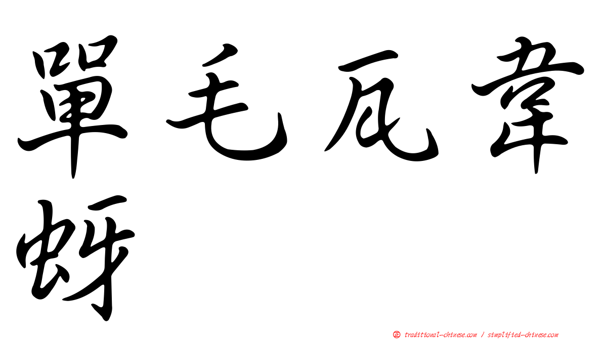 單毛瓦韋蚜
