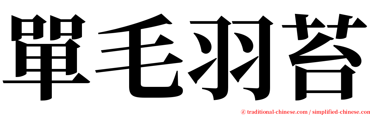 單毛羽苔 serif font