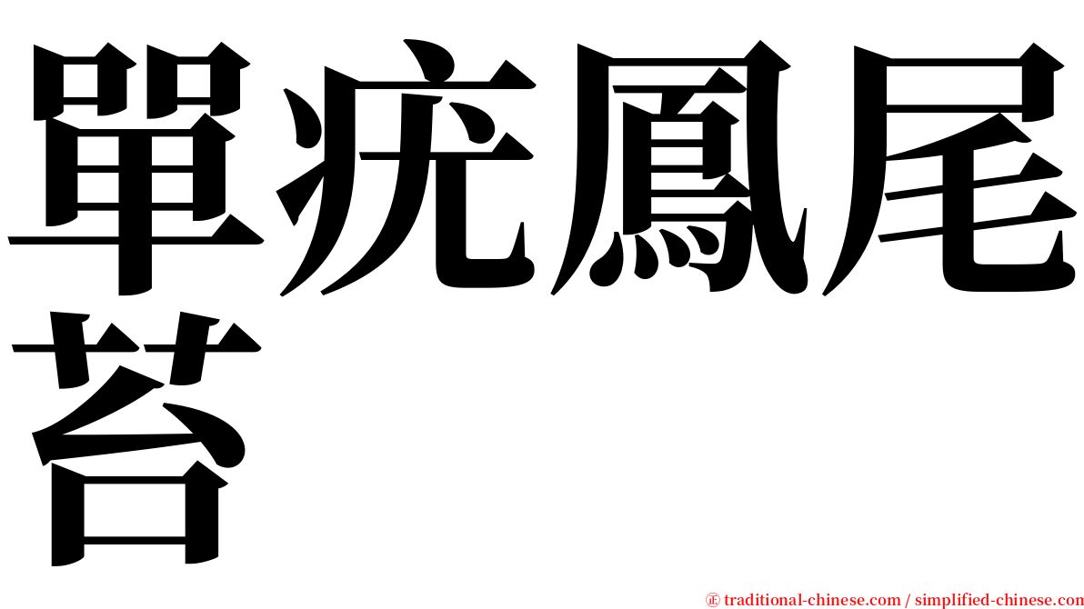 單疣鳳尾苔 serif font