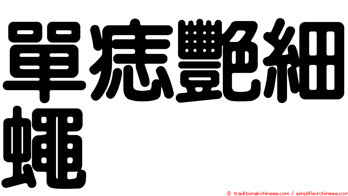 單痣艷細蠅
