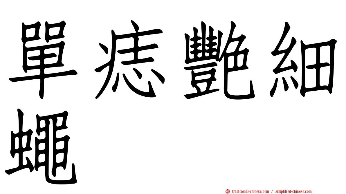 單痣艷細蠅