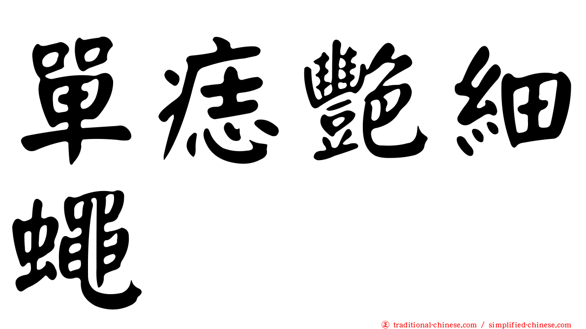單痣艷細蠅