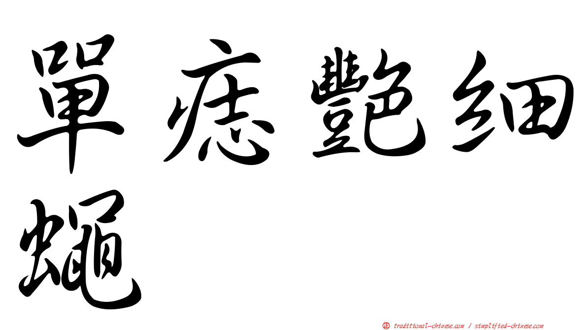 單痣艷細蠅