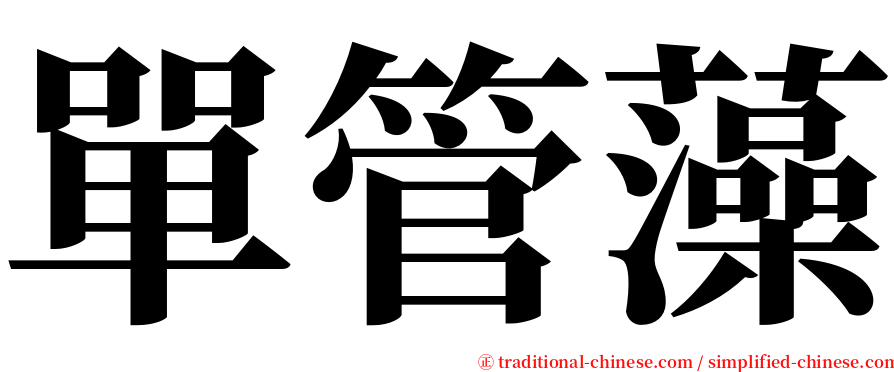 單管藻 serif font