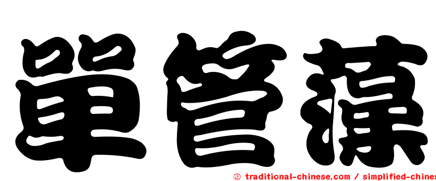 單管藻