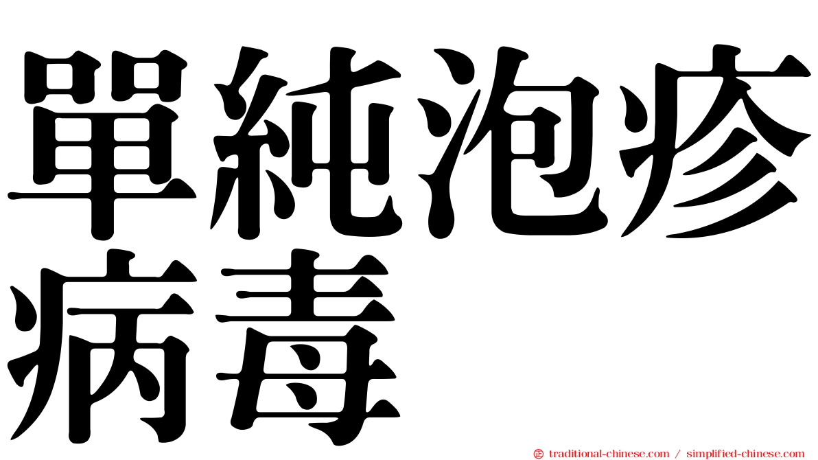 單純泡疹病毒