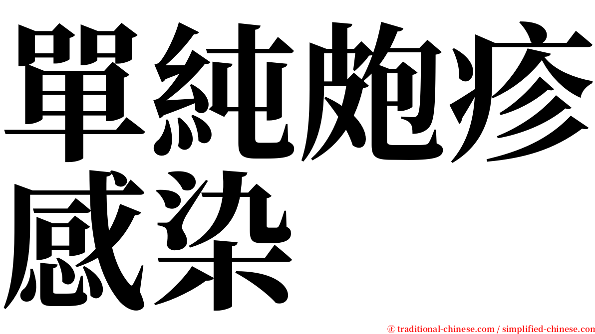 單純皰疹感染 serif font