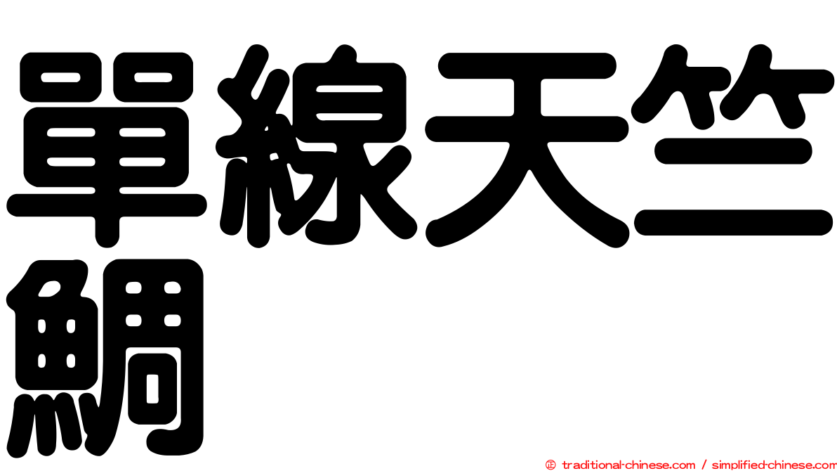 單線天竺鯛