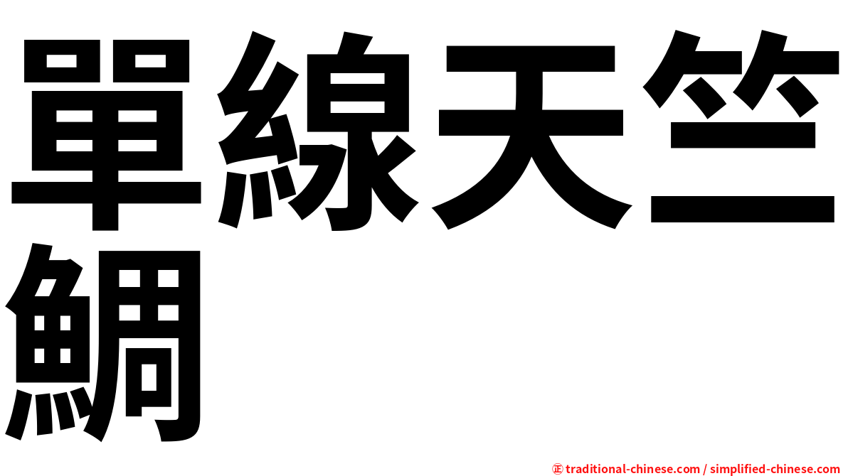 單線天竺鯛